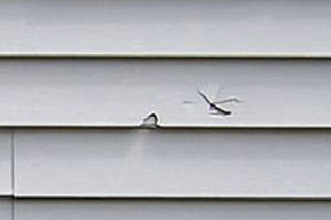 SIDING REPAIRS